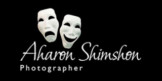 aharon shimshon logo